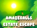 Mäng Amazeballs Estate Escape