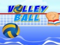 Mäng Volley ball