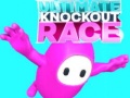 Mäng Ultimate Knockout Race