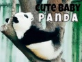 Mäng Cute Baby Panda