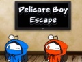 Mäng Delicate Boy Escape