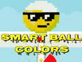 Mäng Smart Ball Colors