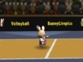 Mäng Bunny volleyball