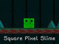 Mäng Square Pixel Slime
