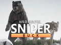 Mäng Wild Hunter sniper buck