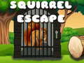 Mäng Squirrel Escape