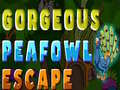 Mäng Gorgeous Peafowl Escape