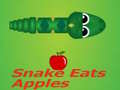 Mäng Snake Eats Apple