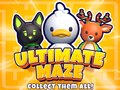 Mäng Ultimate Maze! Collect Them All!