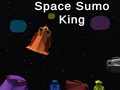 Mäng Space Sumo King