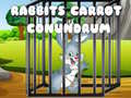 Mäng Rabbits Carrot Conundrum