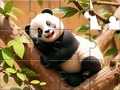 Mäng Jigsaw Puzzle: Panda On Tree