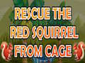 Mäng Rescue The Red Squirrel From Cage