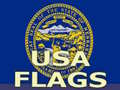 Mäng Usa Flags 
