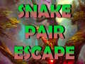 Mäng Snake Pair Escape