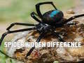 Mäng Spider Hidden Difference