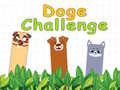 Mäng Doge Challenge