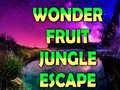 Mäng Wonder Fruit Jungle Escape