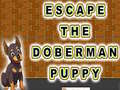 Mäng Escape The Doberman Puppy