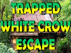 Mäng Trapped White Crow Escape
