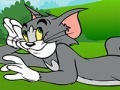 Mäng Tom and Jerry ATV Adventure