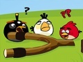 Mäng Angry Birds Go Crazy