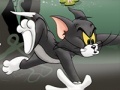 Mäng Tom And Jerry Chase In Marsh
