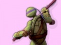 Mäng Ninja Turtles Colours Memory