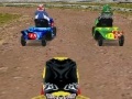 Mäng Lawnmower Racing 3D