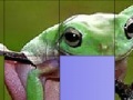 Mäng Frog Slide Puzzle