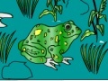 Mäng Frog Coloring