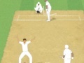 Mäng Cricket Umpire Decision