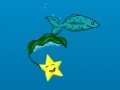 Mäng Star Fish