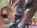 Mäng Deers and Lovely Day Slide Puzzle