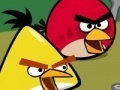 Mäng Memory - Angry Birds