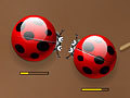 Mäng Spider Bugs