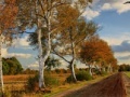 Mäng Russian Road