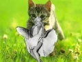 Mäng Kitty saevs the day!