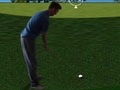 Mäng Flash Golf 3D