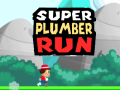 Mäng Super Plumber Run