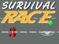 Mäng Survival Race