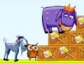 Mäng Donkey Sean