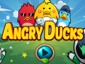 Mäng Angry Ducks