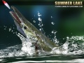 Mäng Summer Lake 1.5