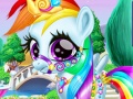 Mäng Rainbow Pony Caring