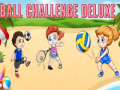 Mäng Ball Challenge Deluxe