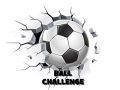 Mäng Ball Challenge