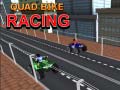 Mäng Quad Bike Racing