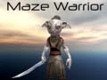Mäng Maze Warrior