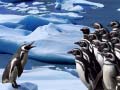 Mäng Penguins Slide
